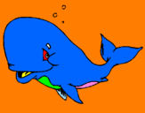 Disegno Balena timida  pitturato su michael