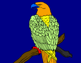 Disegno Aquila su un ramo pitturato su geremia
