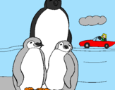 Disegno Famiglia pinguino  pitturato su eros