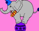 Disegno Elefante sulla palla  pitturato su sabrina