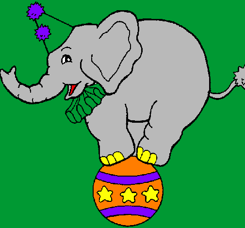 Elefante sulla palla 