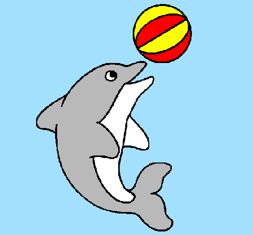 Delfino con una palla 