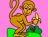 Disegno Scimmietta  pitturato su Lorenzo