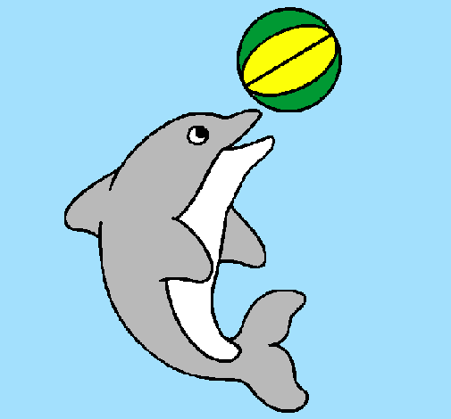 Delfino con una palla 