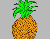 Disegno ananas  pitturato su Alessioooo