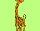 Disegno Giraffa  pitturato su gi