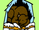 Disegno Orso in ibernazione pitturato su hassan