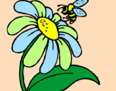 Disegno Margherita con ape  pitturato su viktoria