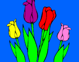 Disegno Tulipani  pitturato su michela  