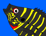 Disegno Pesce  pitturato su margarita