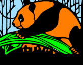 Disegno Oso panda che mangia  pitturato su andrea