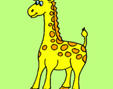 Disegno Giraffa pitturato su zira