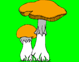 Disegno Funghi pitturato su ale