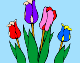 Disegno Tulipani  pitturato su chiara