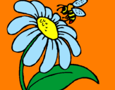 Disegno Margherita con ape  pitturato su MARGHERITA