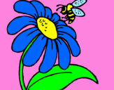 Disegno Margherita con ape  pitturato su rebecca buzzella