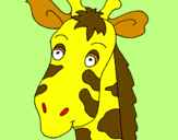 Disegno Muso di giraffa pitturato su givanniboccabella