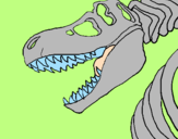 Disegno Scheletro di Tyrannosaurus rex pitturato su andrea