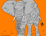 Disegno Elefante  pitturato su jacopoo