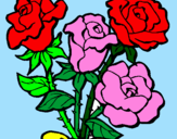 Disegno Mazzo di rose  pitturato su Piergiuseppe