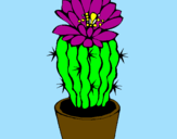 Disegno Cactus fiorito  pitturato su ale
