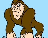 Disegno Gorilla pitturato su scimmione