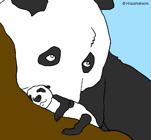 Orso panda con il suo cucciolo