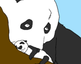 Disegno Orso panda con il suo cucciolo pitturato su nisina