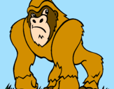Disegno Gorilla pitturato su lorenzorere