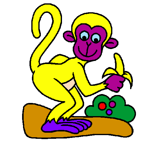 Scimmietta 
