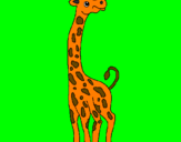 Disegno Giraffa  pitturato su lorenzo pisu