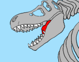 Disegno Scheletro di Tyrannosaurus rex pitturato su matteo