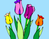 Disegno Tulipani  pitturato su CHICHI