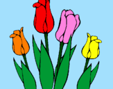 Disegno Tulipani  pitturato su gaia