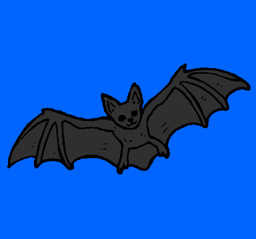 Pipistrello in volo 