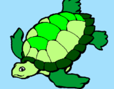 Disegno Tartaruga  pitturato su tartaruga di mare