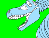 Disegno Scheletro di Tyrannosaurus rex pitturato su nicole