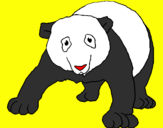 Disegno Orso panda  pitturato su alessio