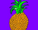 Disegno ananas  pitturato su greta p