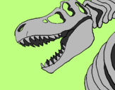 Disegno Scheletro di Tyrannosaurus rex pitturato su alice