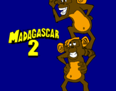 Disegno Madagascar 2 Manson & Phil pitturato su Iva