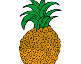 Disegno ananas  pitturato su JADA