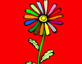 Disegno Fiore di campagna  pitturato su VIVIANA