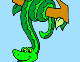 Disegno Serpente avvinghiata ad un albero  pitturato su BARTESELLI