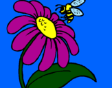 Disegno Margherita con ape  pitturato su alessia
