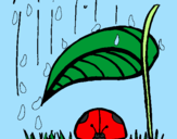 Disegno Coccinella protetta dalla pioggia  pitturato su kakà