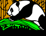Disegno Oso panda che mangia  pitturato su mattia