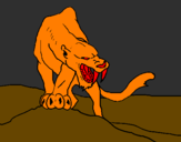 Disegno Tigre con affilati canini  pitturato su tommaso 3