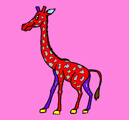 Giraffa 