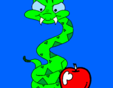 Disegno Serpente con la mela  pitturato su SIMONE